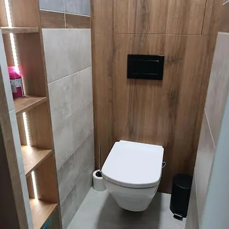 Апартаменты Apartman Yullia City Острава